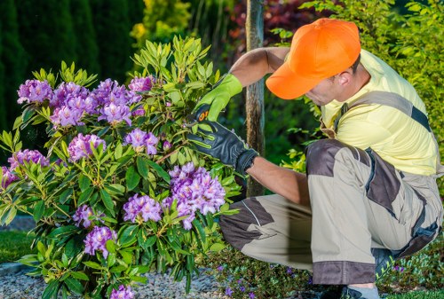 Landscaping complaint process illustration