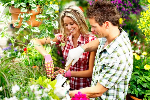 Professional landscaping assessment and communication
