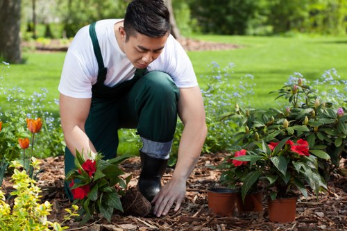 Professional landscaping safety measures in Docklands