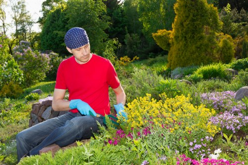 Low-maintenance Docklands landscape design with layered greenery