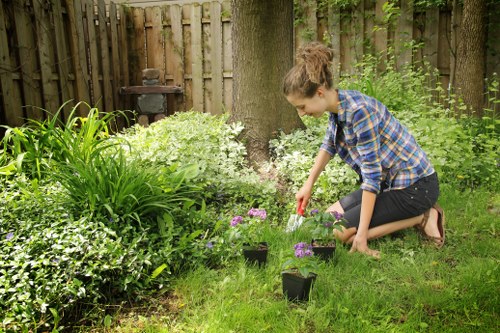Image 2 illustrating screen-reader-friendly landscaping content