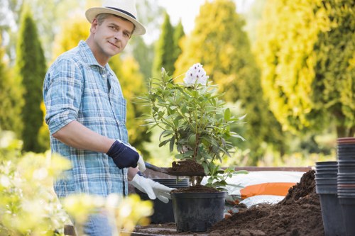 Urban planting and landscaping suited to Docklands properties