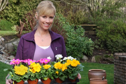 Free quote consultation for a Docklands balcony or courtyard garden