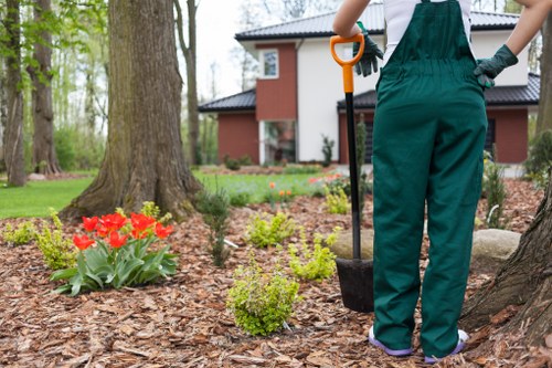 Site issue review in landscaping service