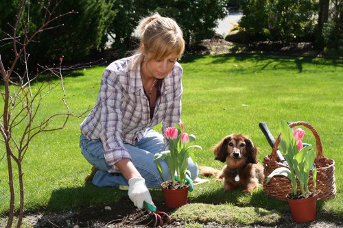 Quality improvement in Docklands landscaping
