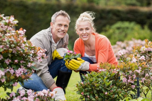 Suitable turf options for shaded and exposed Docklands properties